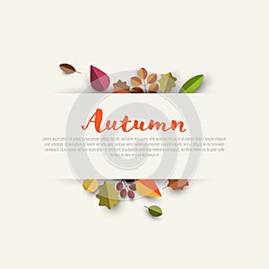 Autumn minimalist sale label with leaves