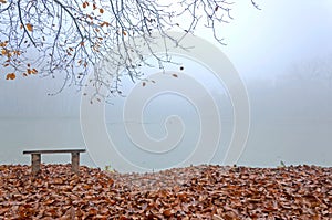 Autumn mist