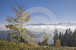 Autumn mist in the Isarwinkel