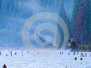 Autumn misty day on Lacu Rosu or Red Lake located in Harghita, Romania photo