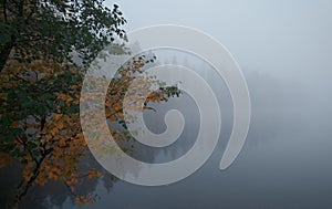 Autumn misty morning. Forest picturesque lake