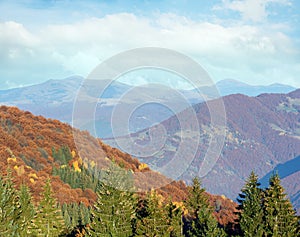 Autumn misty mountain landscape