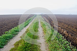 Autumn misty road in plowed farm field