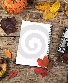 Autumn mockup made of Notepad, camera, pumpkin, berries and leaves on a natural wooden background.
