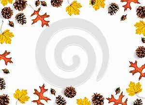 Autumn mockup scene. Creative fall composition made of colorful maple, oak leaves, pine cones and acorns, flat lay