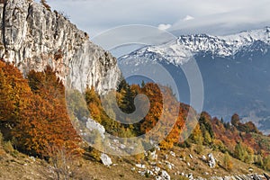 Autumn in Moeciu Magura village, Transylvania, Romania