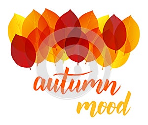 Autumn mood background with leaves