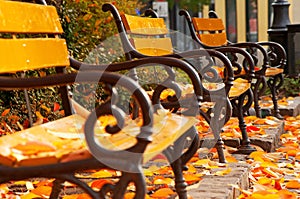 Autumn mood with benches
