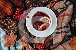 Autumn mood concept. Hot tea with lemon and cinnamon sticks on cozy sweater scarf background. Fall leaves and berries