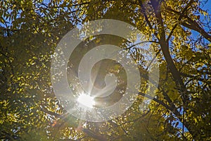 Autumn mood in october