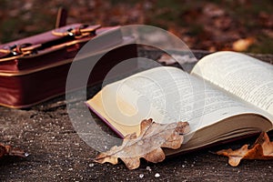 Autumn mood. Open book with leaves on the bench in the park