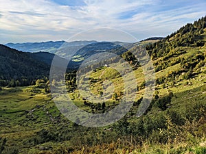 autumn mood on a rural alp in the canton of st.gallen. Hike to the mountain Speer above Amden. Nice hiking weather.