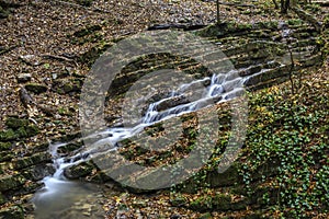 Autumn mood to brook