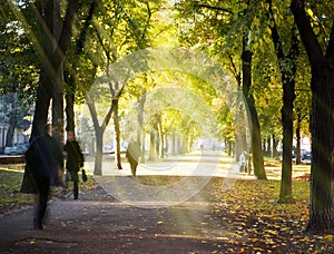 Autumn morning city alley