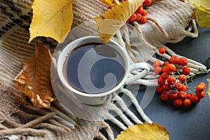 Autumn morning with a Cup of tea. A Cup of tea on a plaid background, surrounded by yellow leaves