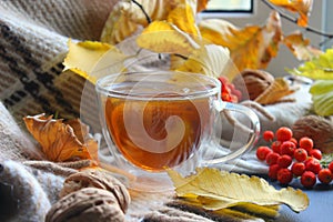 Autumn morning with a Cup of tea. A Cup of tea on a plaid background, surrounded by yellow leaves