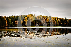 Autumn morning on a foggy lake in the Northern forest