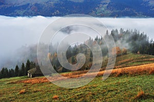 Autumn morning. foggy sunrise in the Carpathian mountains