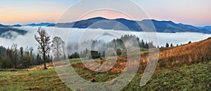 Autumn morning. foggy sunrise in the Carpathian mountains