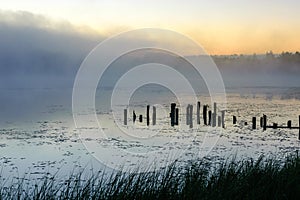 autumn morning by the lake, fog over the surface of the water, a moment before sunrise