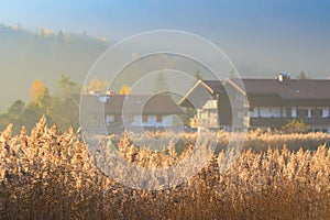 Autumn morning landscape with fog over lake