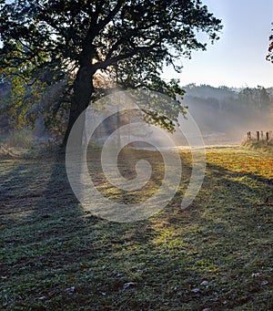 Autumn morning, Lithuania