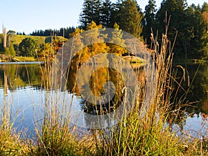 Autumn morning at McLaren Falls Lake