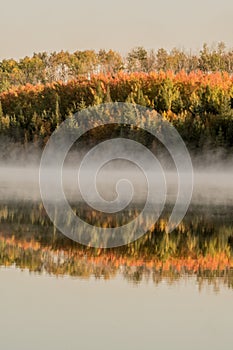 Autumn morning mist at the lake