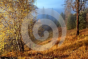 Autumn morning in mountains