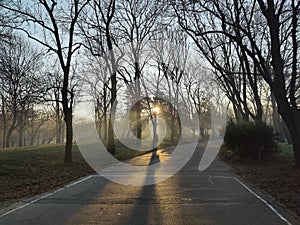 Autumn morning in the park - sun rays among the trees