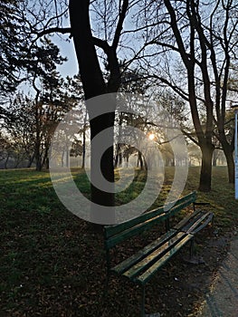 Autumn morning in the park - sun rays among the trees