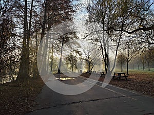 Autumn morning in the park - sun rays among the trees