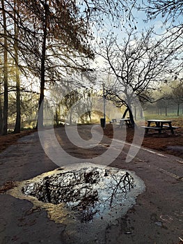 Autumn morning in the park - sun rays among the trees