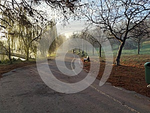 Autumn morning in the park - sun rays among the trees