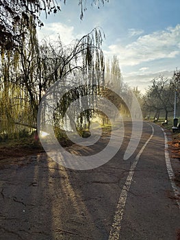 Autumn morning in the park - sun rays among the trees