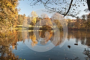 Autumn morning pond with colorful trees around in park in Plauen city