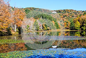 Autumn Moses Cone Memorial Park North Carolina