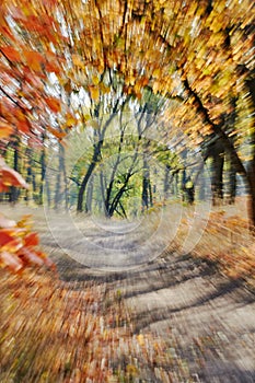 Autumn. motion zoom Blurred abstract background