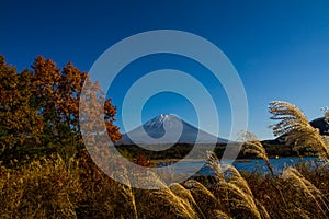 Autumn at Motosuko lake