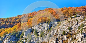 Autumn mountain cascade