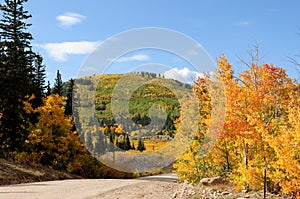 Autumn Mountain Colors