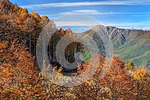 Autumn mountain forest and Achishkho mountain peak in Krasnaya Polyana, Sochi, Russia. Beautiful scenic blue sky sunny day