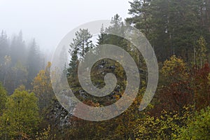 Autumn mountain forest in the fog