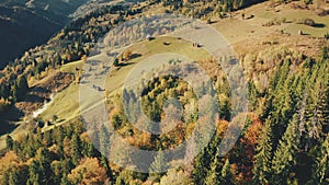 Autumn mountain landscape aerial. Evergreen pine trees and yellow fall forest on magestic mounts