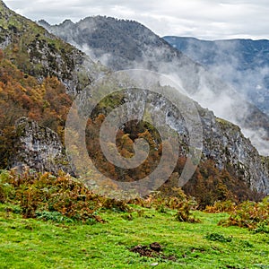 Autumn mountain landscape photo