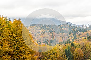 Autumn mountain landscape background.