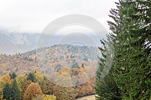 Autumn mountain landscape background.