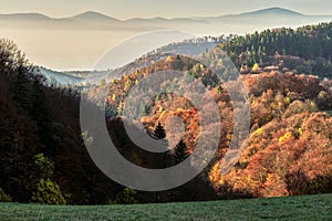 Autumn mountain landscape with forest and hills