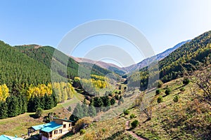 Autumn mountain landscape. House in the mountains. green and yellow trees on the hillside. Forest in the mountains. Kyrgyzstan