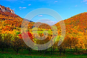 Autumn mountain landscape on a sunny day